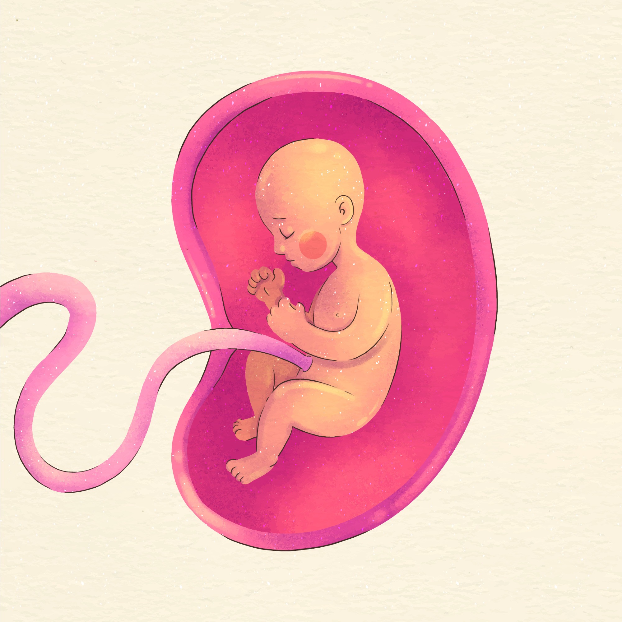 umbilical cord banking controversy